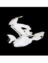 Verkleidung von RENNBAHN HONDA CBR 1000 06-07