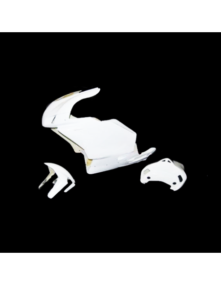 Carenado de circuito DUCATI 749-999