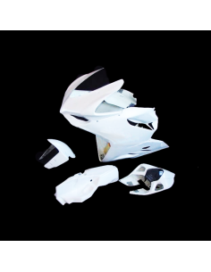 Carenado de circuito DUCATI 959/899/1199/1299 PANIGALE