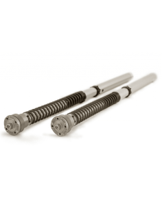Kit Cartucho Horquilla OHLINS TTX 25MM HONDA CBR 1000RR-R / SP 20-21 2