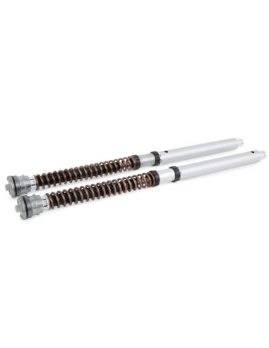 Kit Cartucho Horquilla OHLINS NIX30 DUCATI