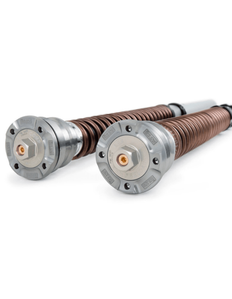 Kit Cartucho Horquilla OHLINS NIX30 DUCATI