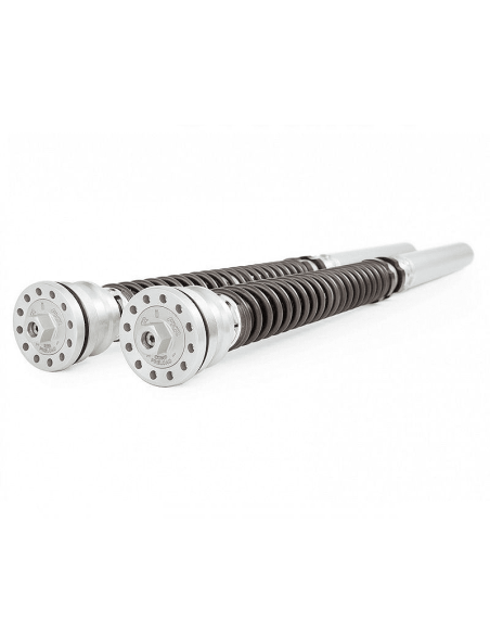 Kit Kartusche-Gabel OHLINS TTX 25MM DUCATI