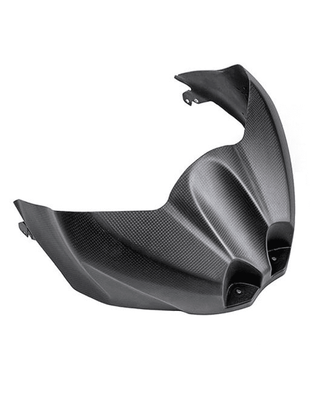 Carbon Deckel LIGHTECH SUZUKI GSX-R 1000/R 17-20