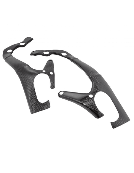 Schutzeinrichtungen Carbon LIGHTECH SUZUKI GSX-R 1000/R 17-20