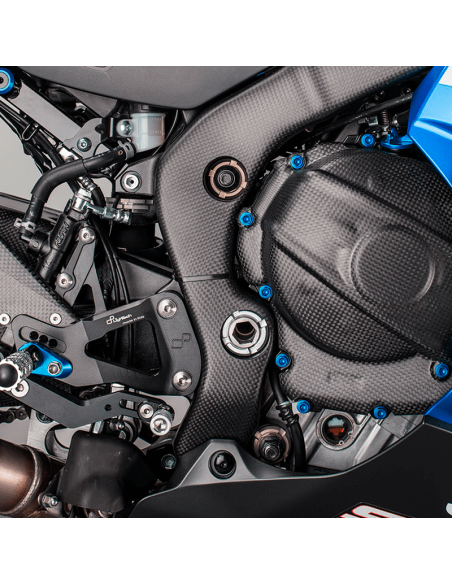 Schutzeinrichtungen Carbon LIGHTECH SUZUKI GSX-R 1000/R 17-20