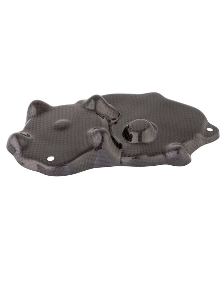Protectores Recogida Carbono LIGHTECH KAWASAKI
