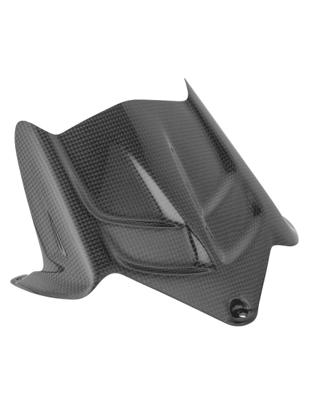 Carbon Heckfender LIGHTECH KAWASAKI