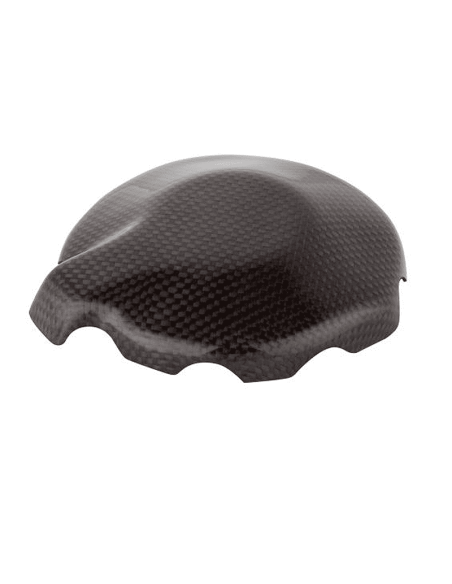 Tapa Alternador Carbono LIGHTECH KAWASAKI