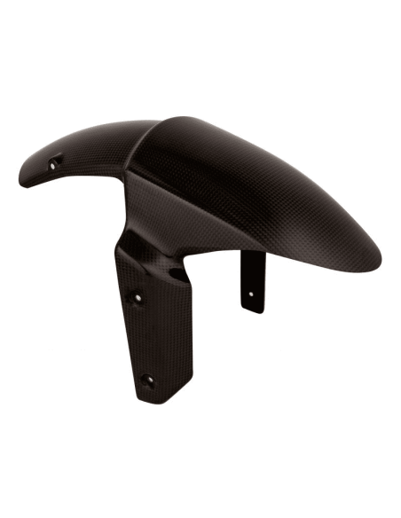 Kotflügel vorne Carbon LIGHTECH KAWASAKI