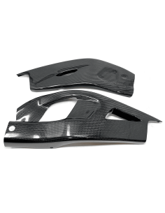 Protecciones Basculante CARBONO HONDA CBR 1000 RR-R/SP 20-21