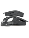 Protecciones Basculante CARBONO HONDA CBR 1000 RR-R/SP 20-21