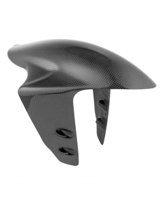 Guardabarros delantero Carbono LIGHTECH DUCATI