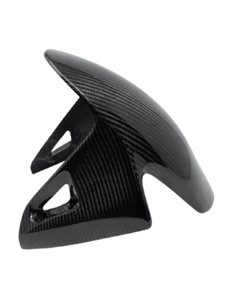Carbon-Vordere Kotflügel EXTREME COMPONENTS DUCATI PANIGALE 1199 / 1299 12-17