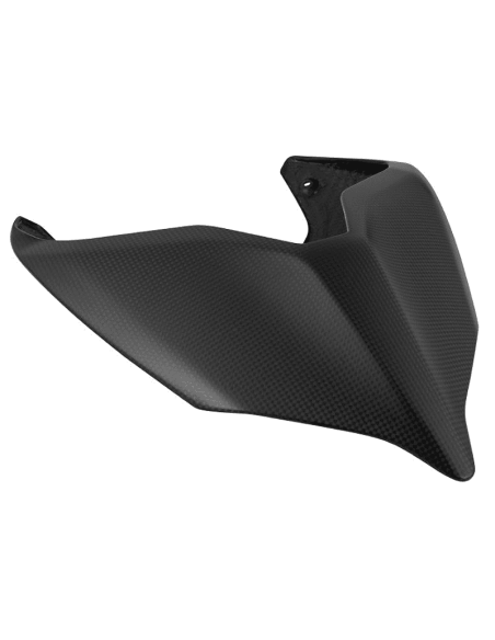 Colin / Aiento Carbono LIGHTECH DUCATI PANIGALE V4/S/R