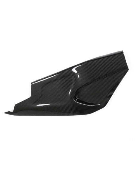 Protector Derecho Basculante Carbono ILMBERGER CARBON BMW HP4 RACE