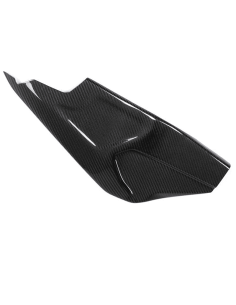 Protector Derecho Basculante Carbono ILMBERGER CARBON BMW HP4 RACE 2