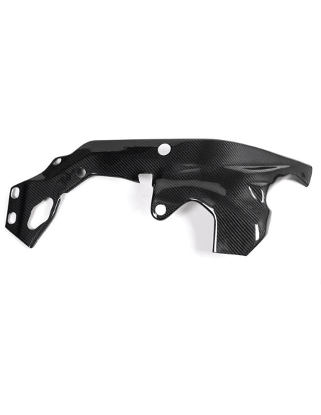 Protector Chasis Derecho Carbono ILMBERGER CARBON BMW HP4 RACE