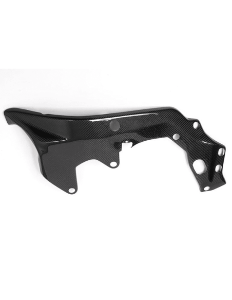 Protector Chasis Izquierdo Carbono ILMBERGER CARBON BMW HP4 RACE