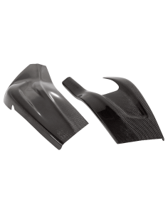 Carbon LIGHTECH BMW Schwingenschutz