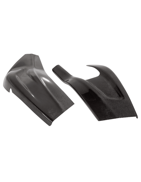 Carbon LIGHTECH BMW Schwingenschutz