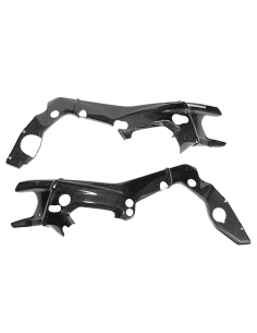 Protectores Chasis Carbono LIGHTECH BMW S 1000RR 19-20