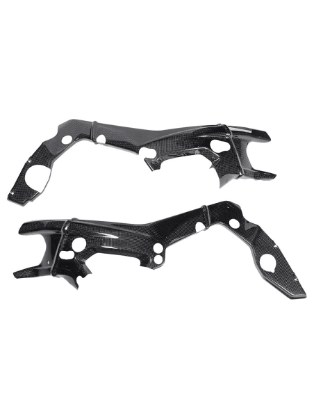 copy of Abdeckung Generator 2000 LIGHTECH DUCATI
