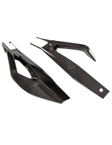 LIGHTECH Carbon Schwingenschutz BMW S1000 RR 19-20 REF: CARD1040