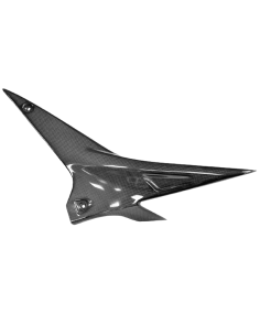 LIGHTECH APRILIA Carbon Kühlerschutz