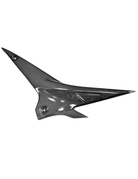 LIGHTECH APRILIA Carbon Kühlerschutz
