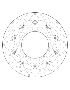 Oro- Brembo -Platten 2