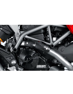 KOHLENSTOFFSCHUTZ DUCATI HYPERMOTARD / HYPERSTRADA 2013-2018 2