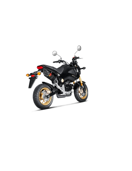 AKRAPOVIC SILENCIADOR CARBONO HONDA MSX 125 2013-2016 S-H125SO1-HAPC