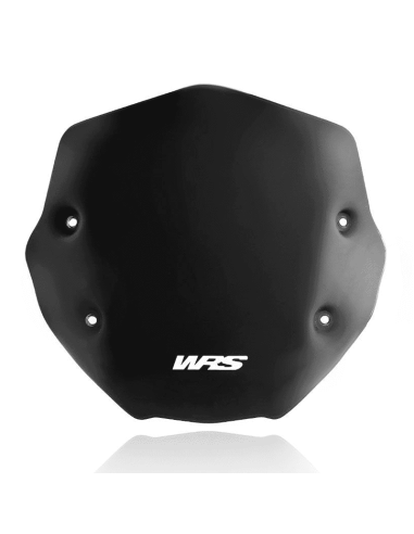 PARABRISAS WRS SPORT BMW R1250R 2019-2021