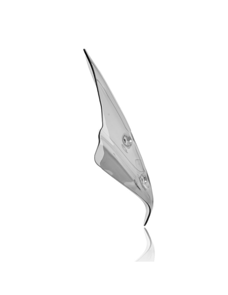 PARABRISAS WRS STANDARD BMW R1250R 2019-2021