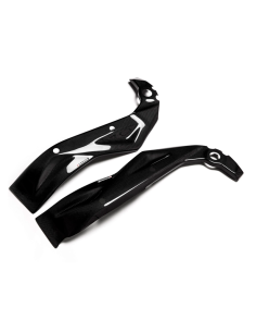 CARBON 2 RACE Protectores de Chasis Carbono APRILIA RSV 1000 R 2004-2010