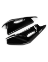 Protectores Basculante Carbono CARBON 2 RACE APRILIA RSV4 2009-2015