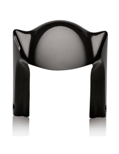 CARBON 2 RACE Guardabarros Delantero Carbono APRILIA RSV4 2009-2021 2