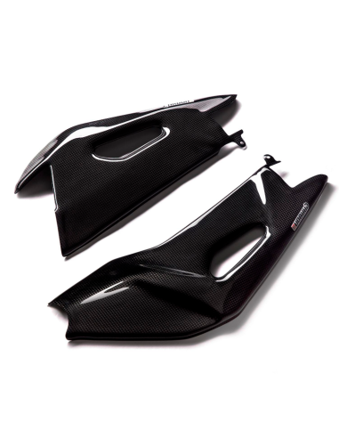 Protectores Basculante Carbono CARBON 2 RACE APRILIA TUONO V4 RR / FACTORY 2015-2021 2011-2015