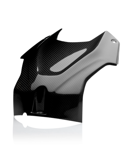 Tapa de aire Carbono CARBON 2 RACE BMW S 1000RR 2019-2024