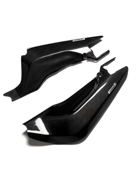 Protectores Basculante Carbono CARBON 2 RACE DUCATI 899/959 Panigale
