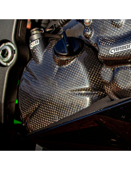 copy of Protector Basculante de fibra de carbono YAMAHA R1 2015-2020