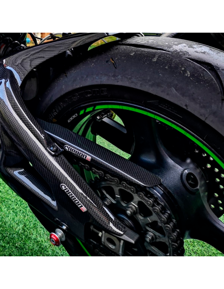 copy of Protector Basculante de fibra de carbono YAMAHA R1 2015-2020