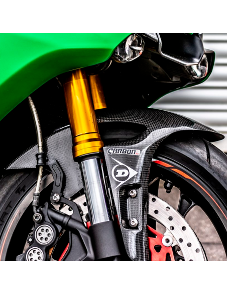 Carbon Kotflügel vorne CARBON 2 RACE YAMAHA YZF-R1 2009-2021