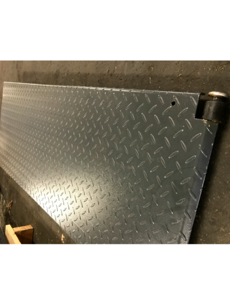 copy of Rampa De Aluminio 340KG 215CM X 28CM
