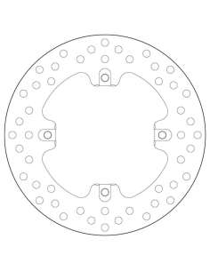 Oro- Brembo -Platten 2