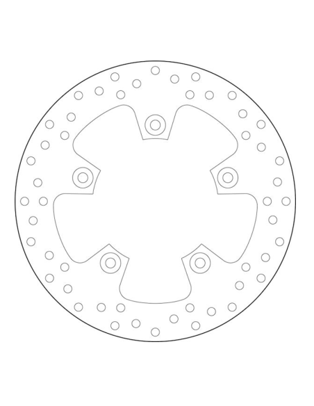 Oro- Brembo -Platten