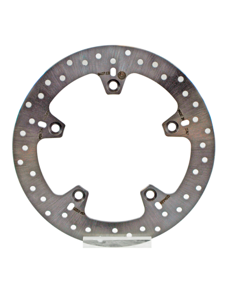 Oro- Brembo -Platten