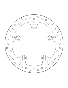 Oro- Brembo -Platten 2