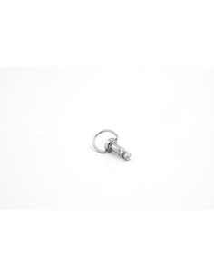 Tornillo rapido M4x12mm con anillo